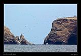 Ballestas Islands 037